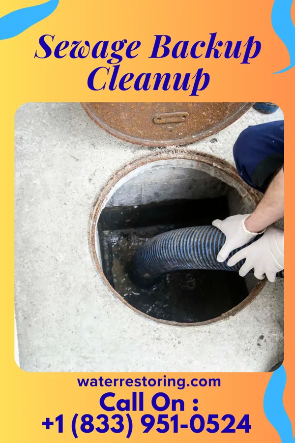 Sewage Backup Cleanup in West Pensacola, FL